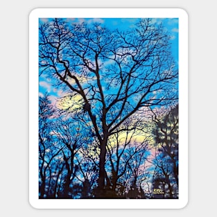 'EVENING TREES' Sticker